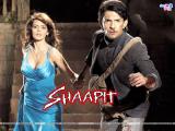 Shaapit (2010)